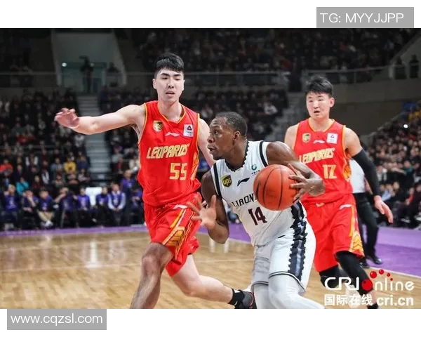 深圳篮球队荣登实力排行榜首位引发热议各队表现分析