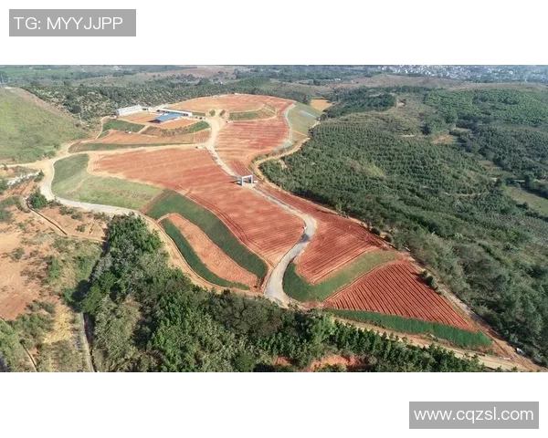 极限运动的挑战与荣耀成都极限运动队的逆袭之路全景纪实